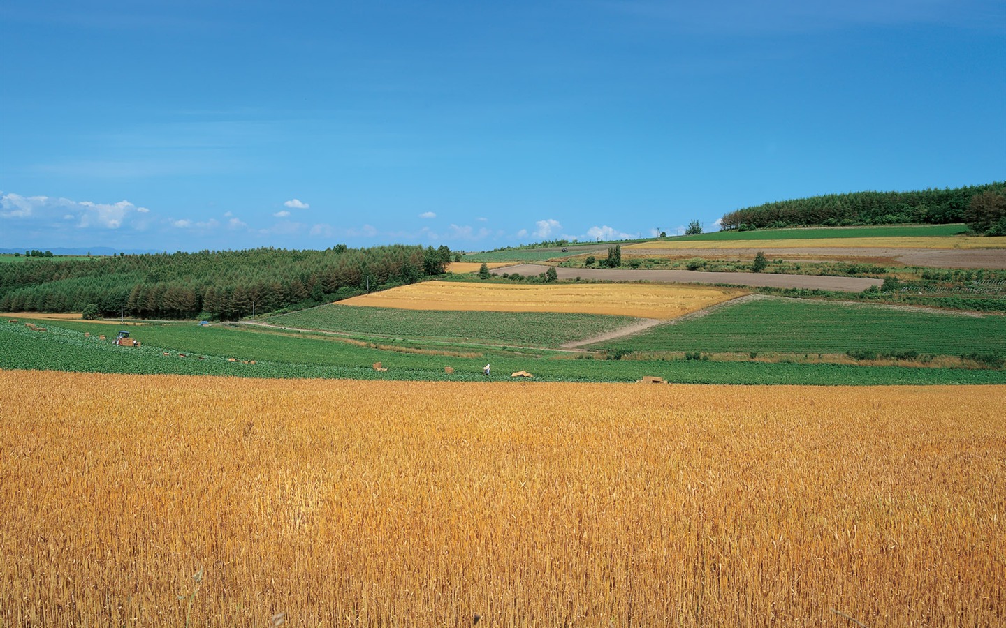 beauté naturelle de Corée du Sud #38 - 1440x900