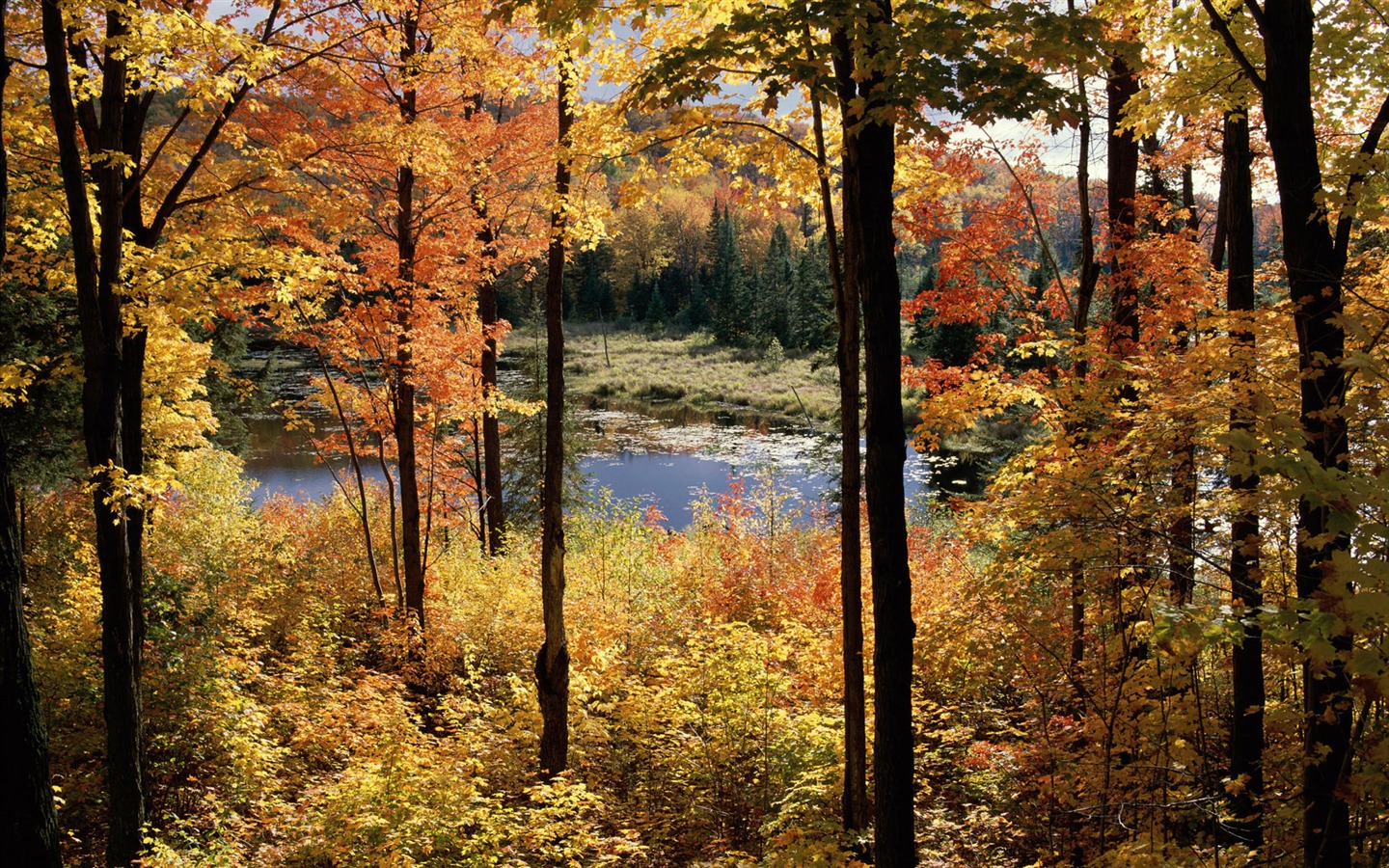 Wallpaper paisaje canadiense HD (2) #15 - 1440x900