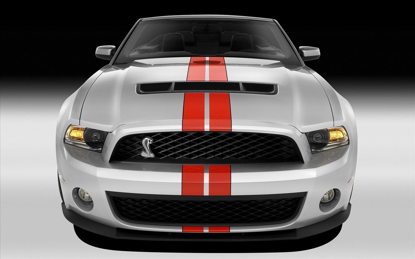 Ford Mustang GT500 Tapety #3 - 1440x900