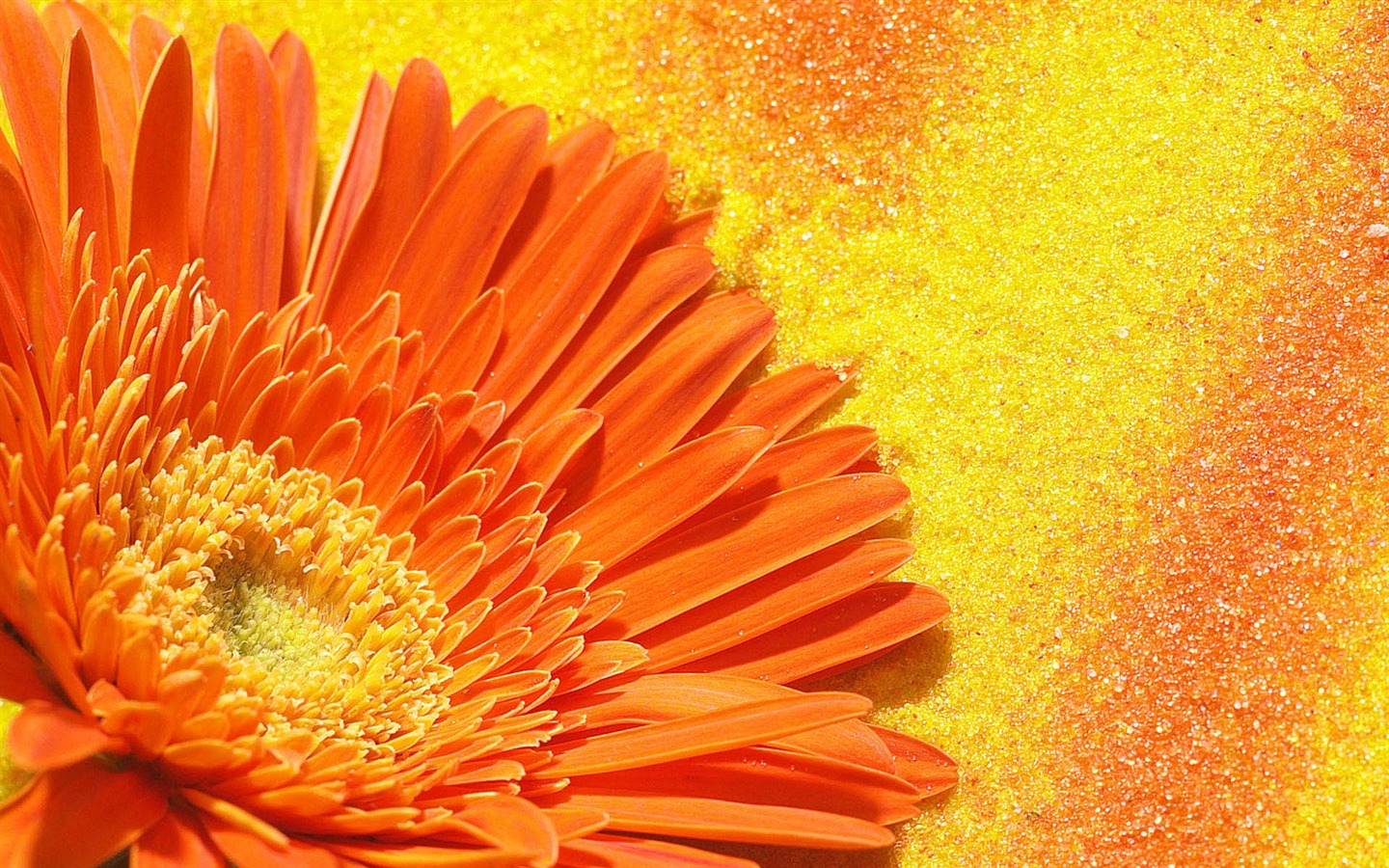 fleurs fond d'écran Widescreen close-up (2) #15 - 1440x900