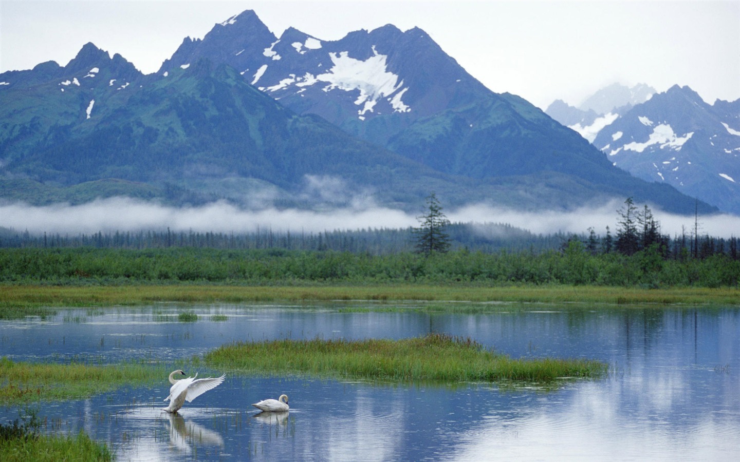 Alaska Landschaft Wallpaper (1) #12 - 1440x900