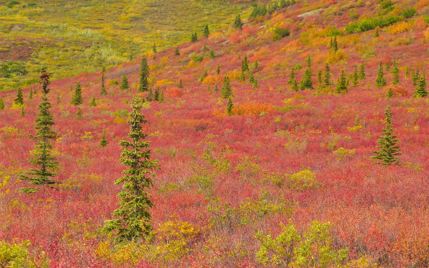 Alaska Landschaft Wallpaper (2) #2 - 1440x900