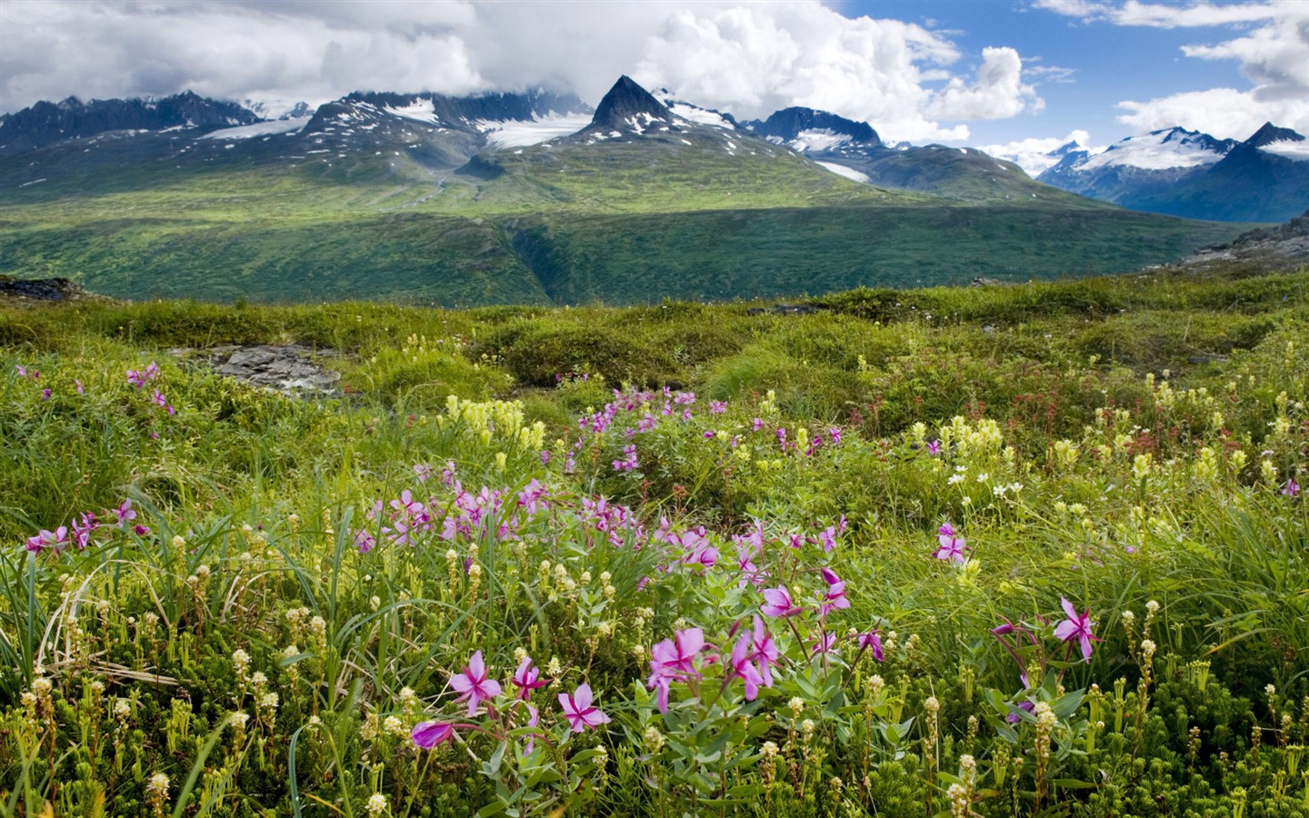 Fondos de escritorio de paisajes de Alaska (2) #12 - 1440x900