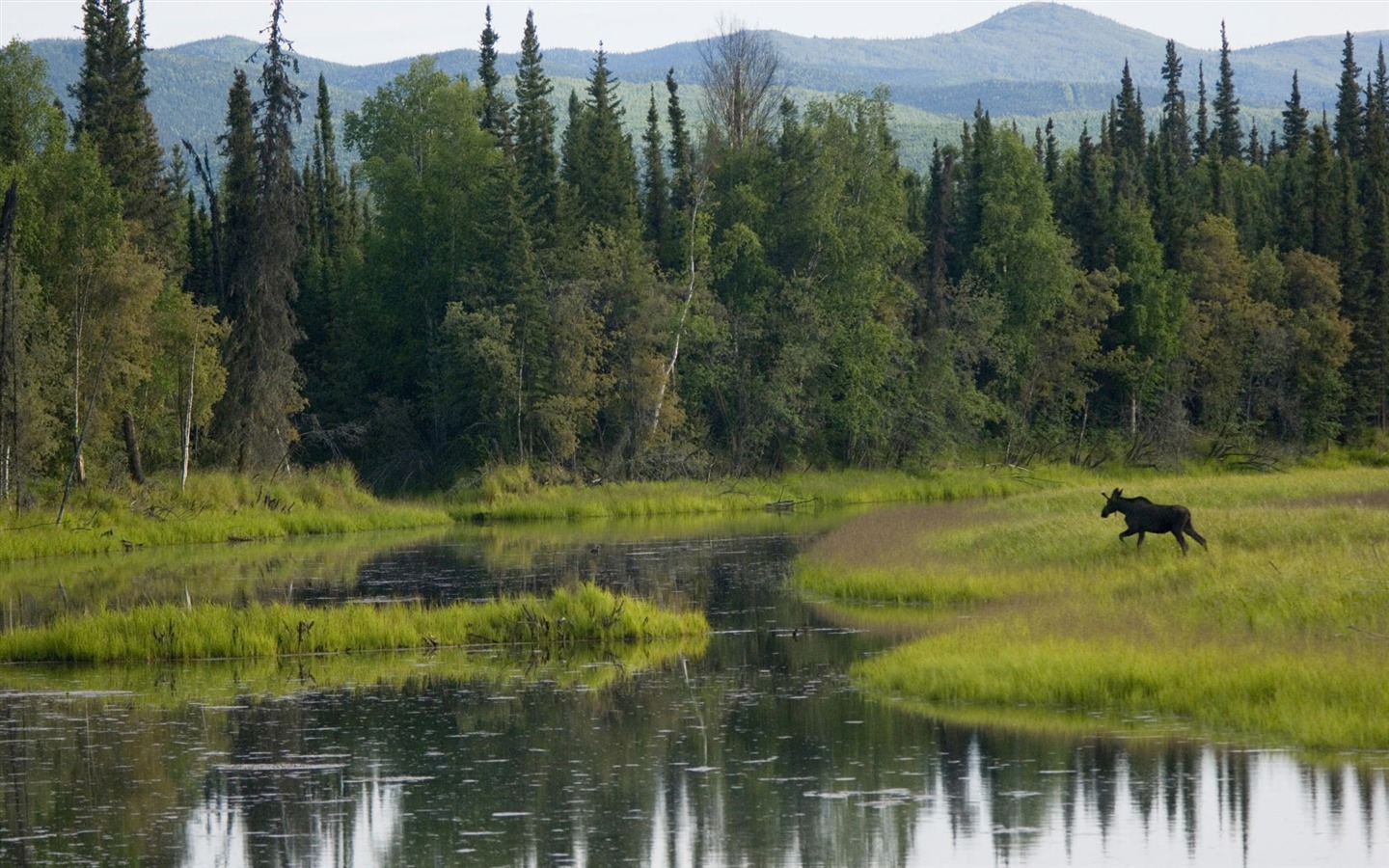 Fondos de escritorio de paisajes de Alaska (2) #14 - 1440x900