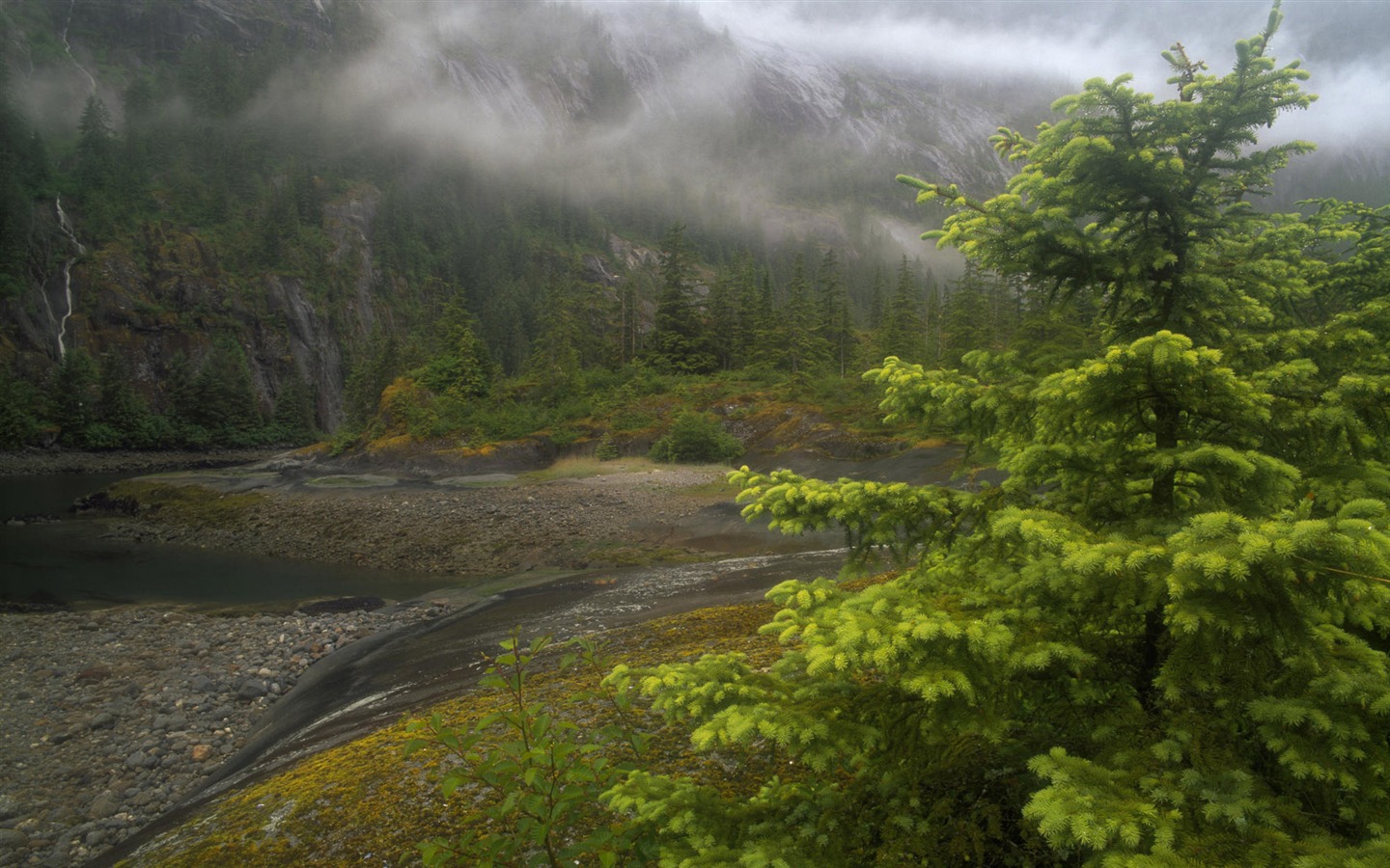 Fondos de escritorio de paisajes de Alaska (2) #17 - 1440x900