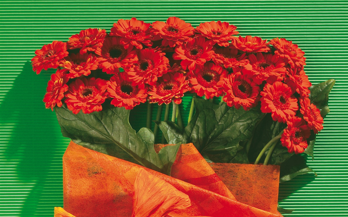 fondos de escritorio de flores con pantalla ancha de cerca (5) #5 - 1440x900