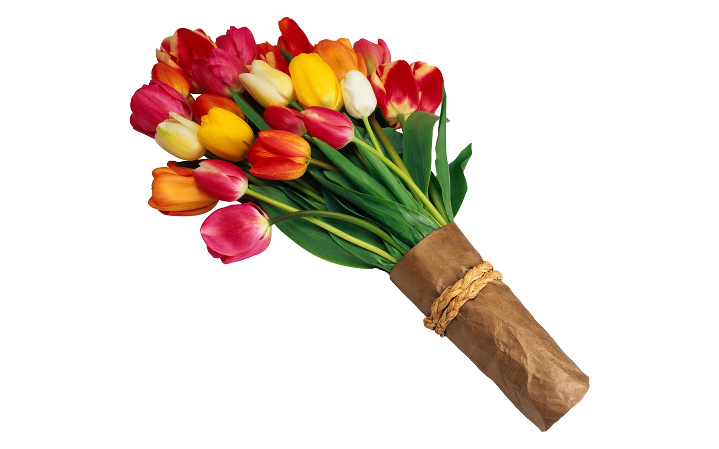 Velký tulipán tapetu (3) #9 - 1440x900