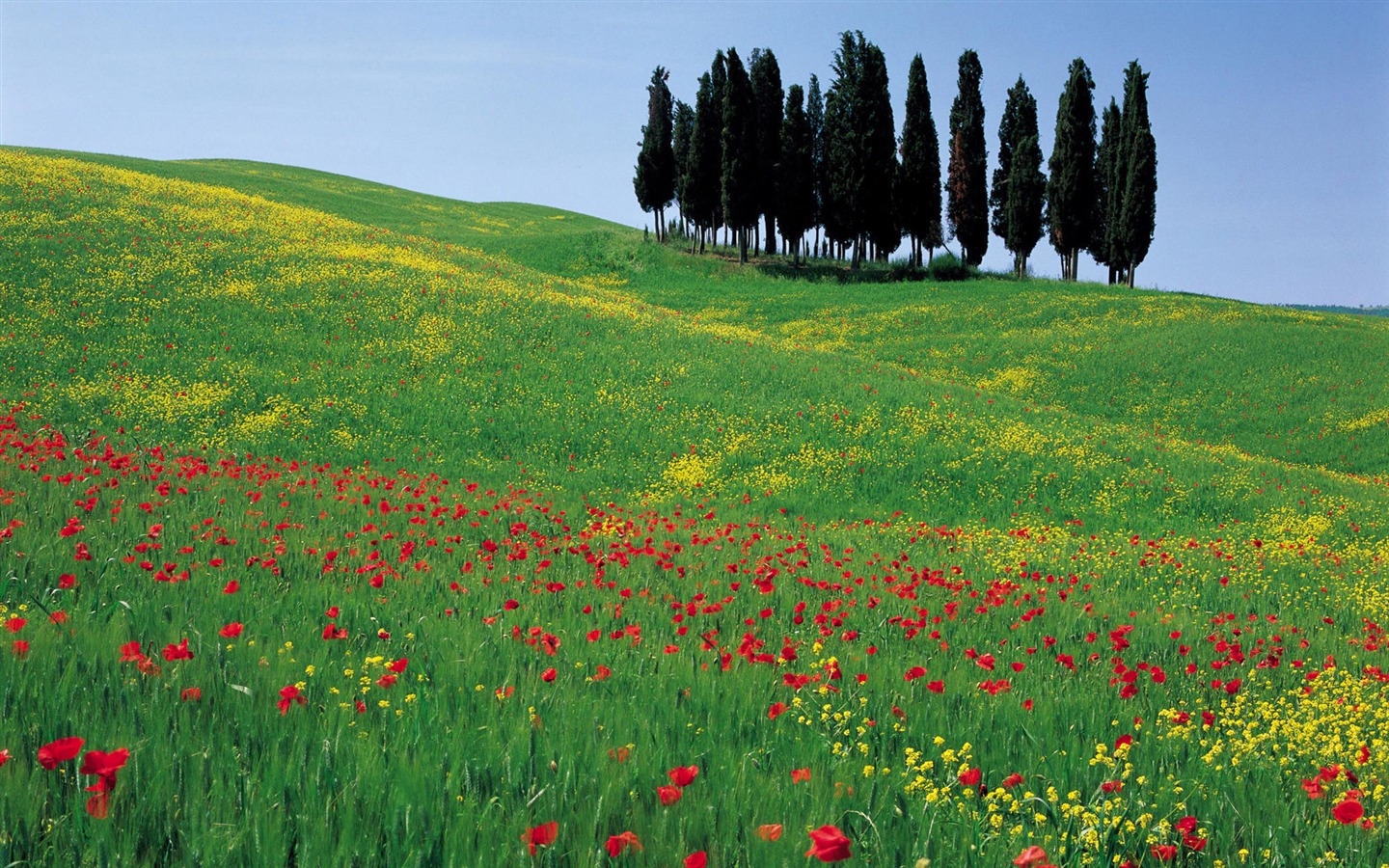Italienische Landschaft Wallpaper (1) #19 - 1440x900