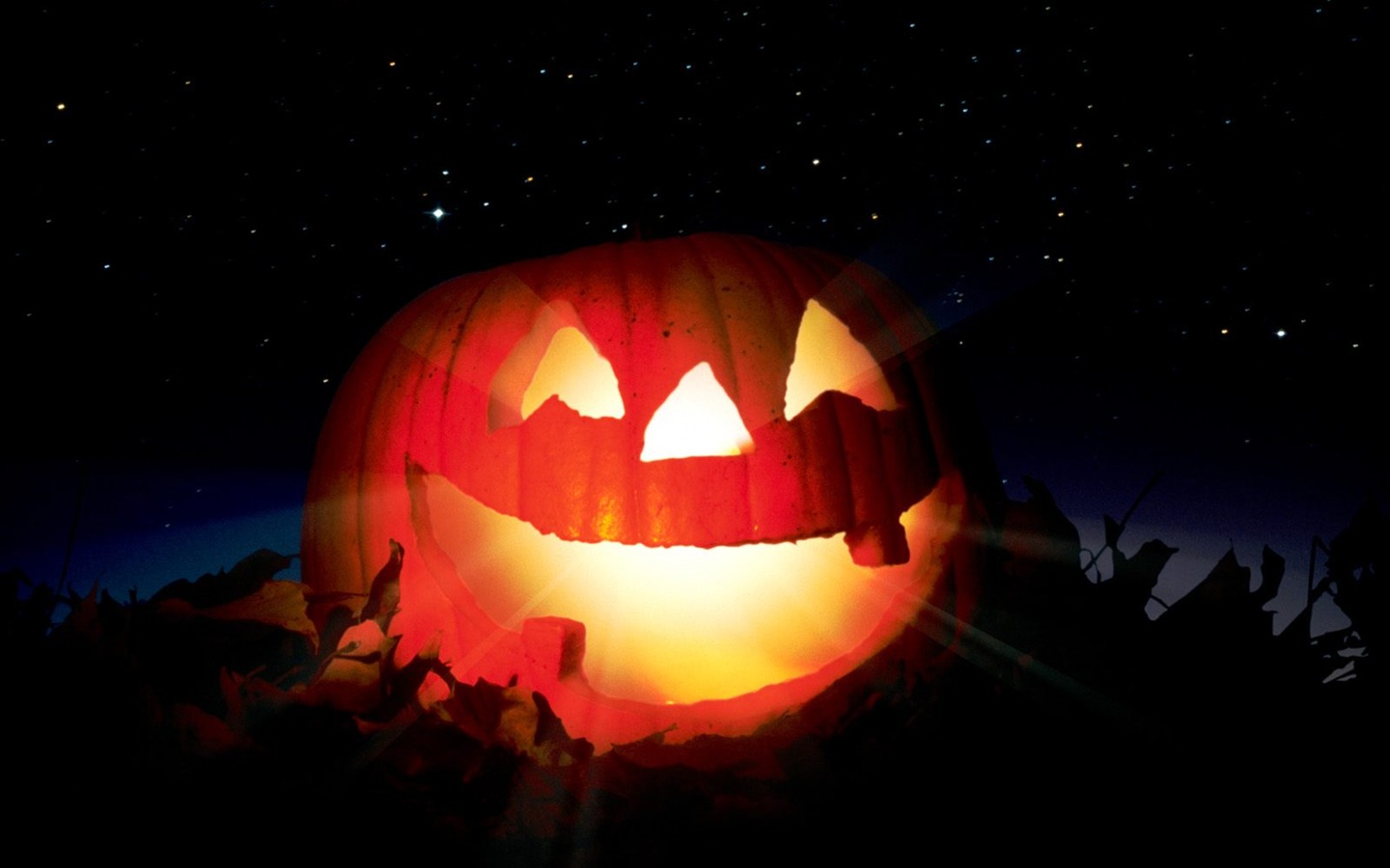 Halloween Téma Tapety na plochu (1) #10 - 1440x900