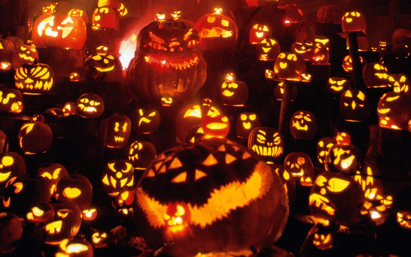 Fonds d'écran thème de l'Halloween (2) #19 - 1440x900