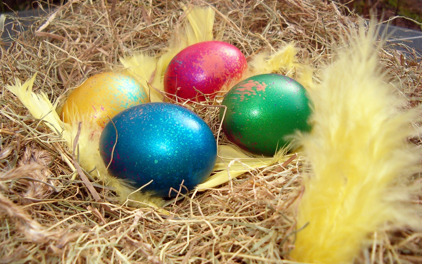 Velikonoční vajíčko tapetu (4) #1 - 1440x900