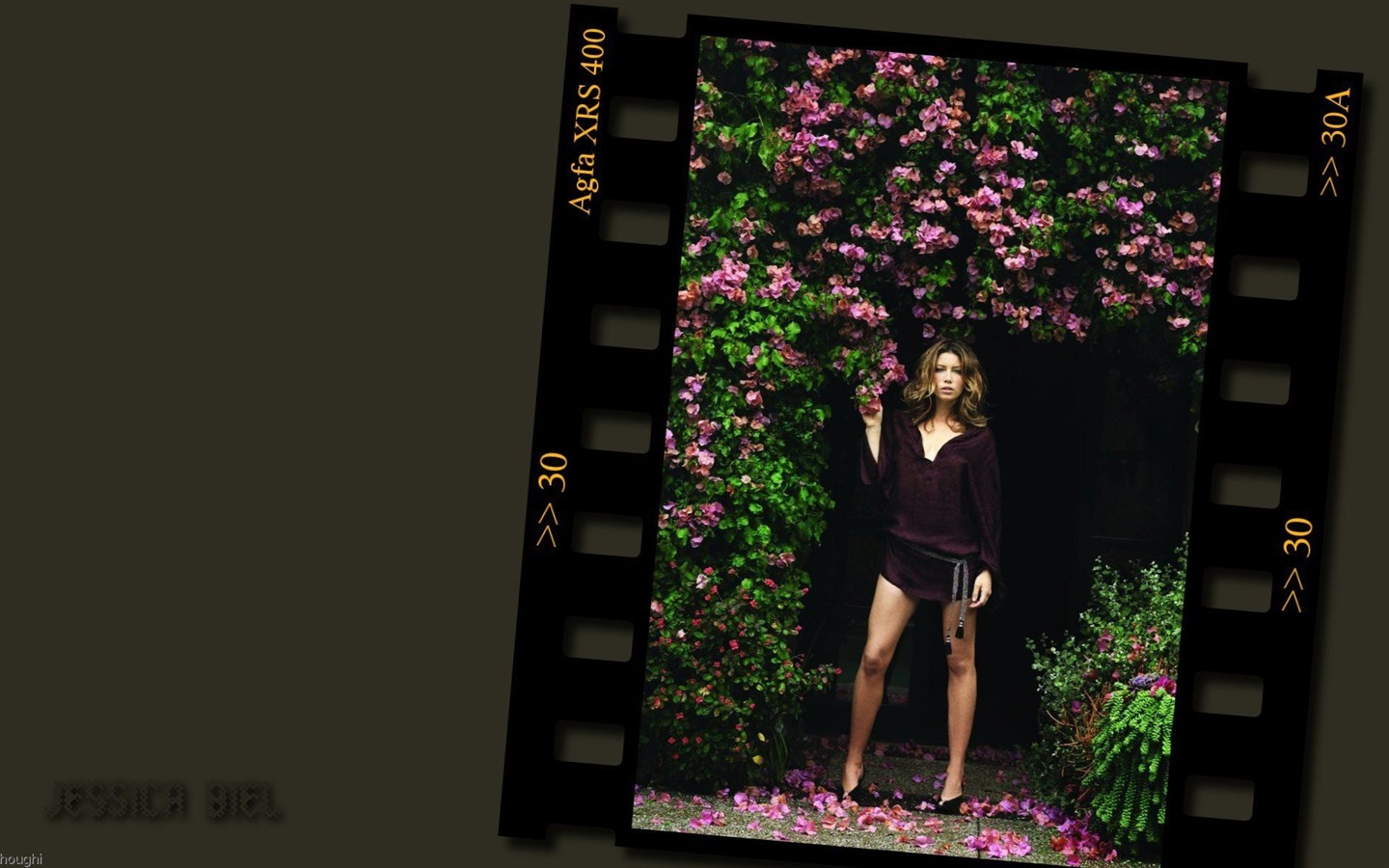 Jessica Biel 아름다운 벽지 #24 - 1440x900