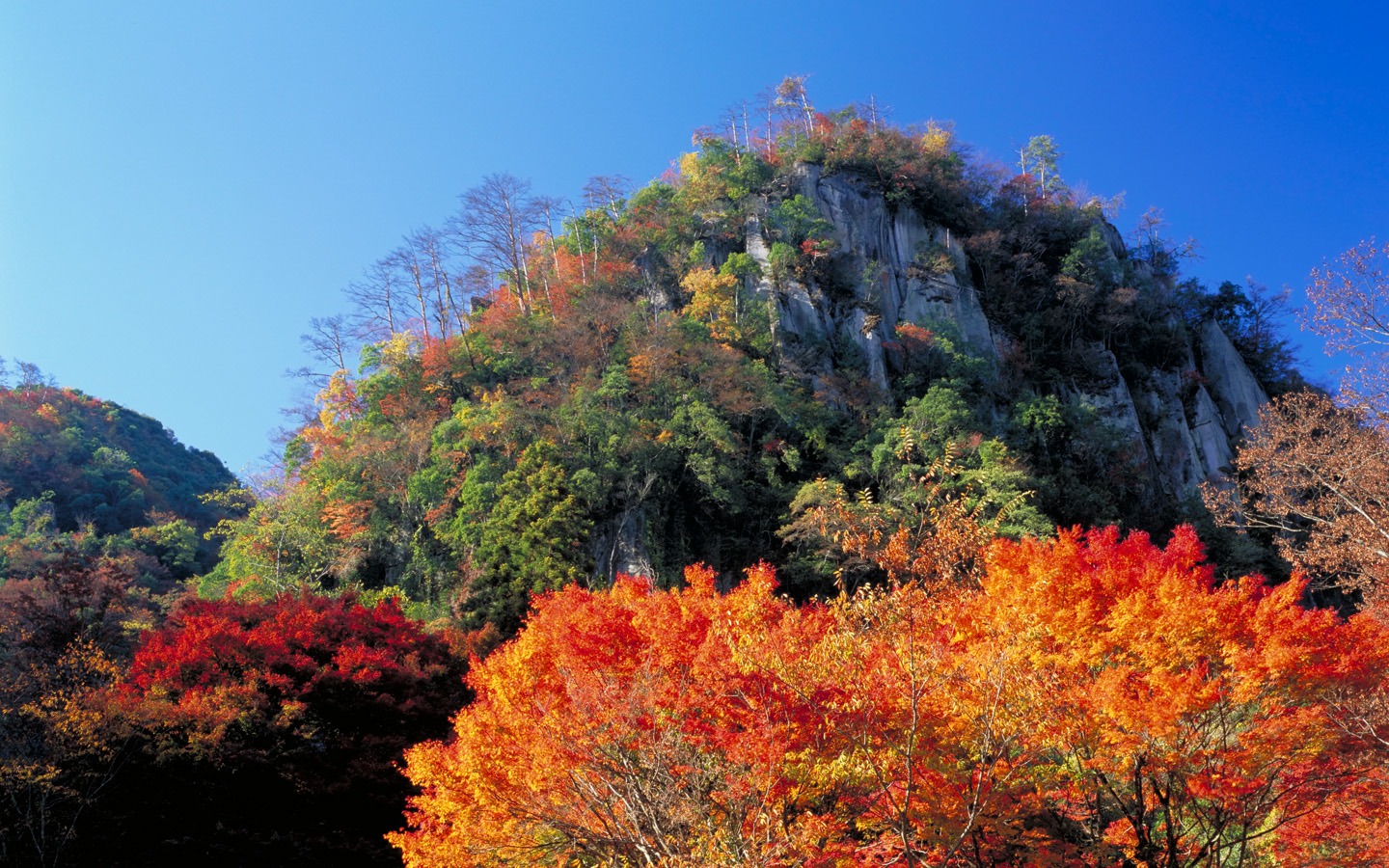 美丽如画 日本风景宽屏壁纸1 - 1440x900