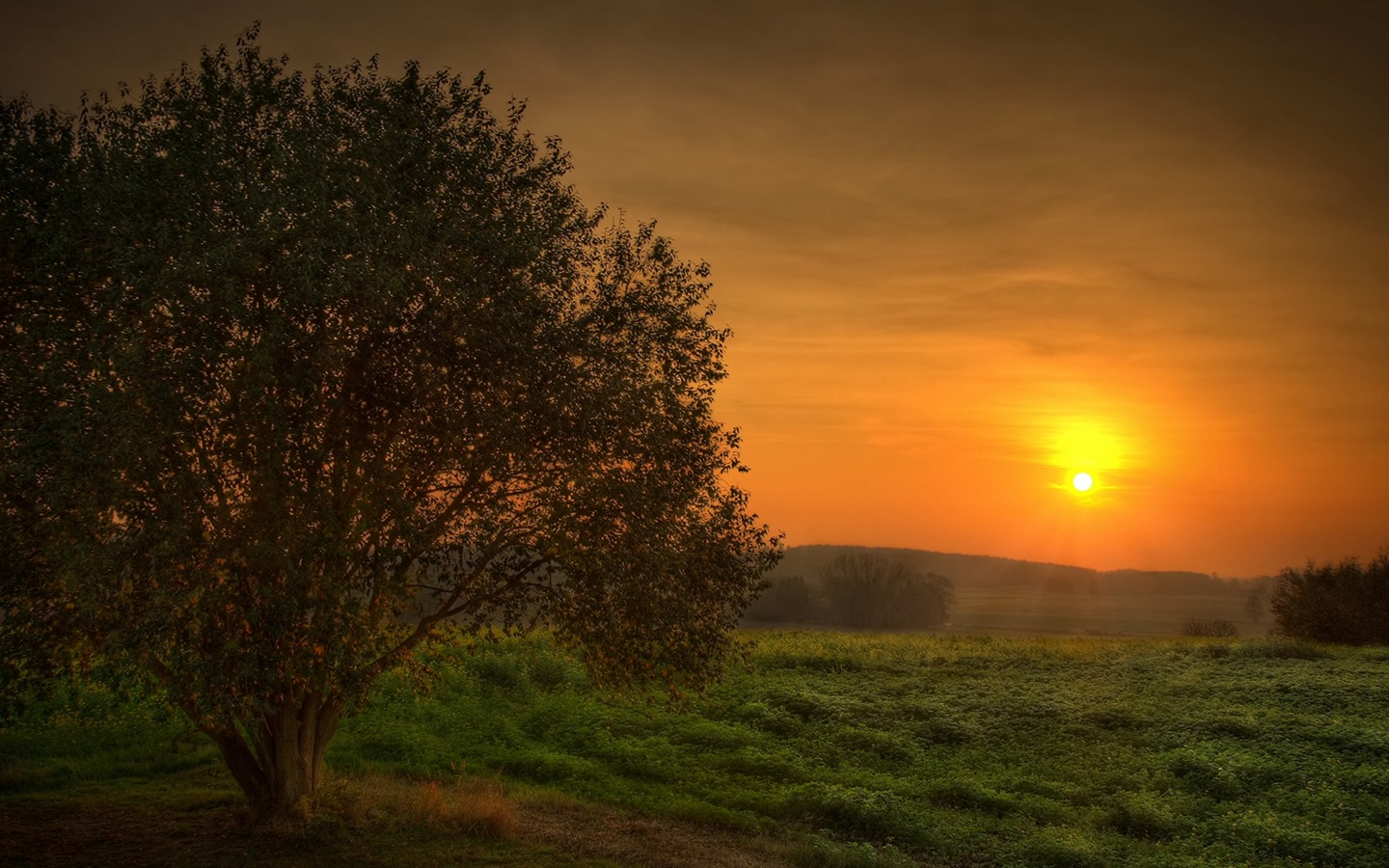 Fonds d'écran Nature HD #10 - 1440x900