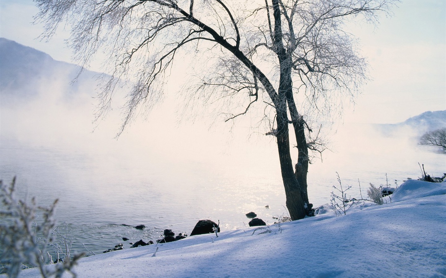 冬天雪景壁纸1 - 1440x900
