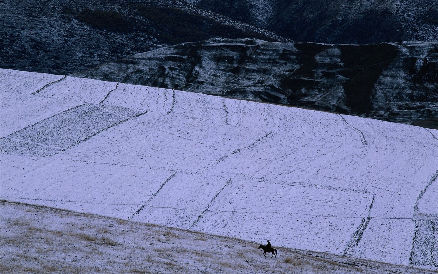 冬天雪景壁纸32 - 1440x900