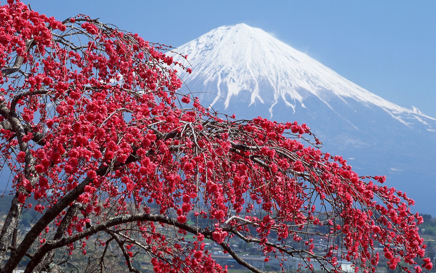 Mount Fuji, Japonsko tapety (1) #1 - 1440x900