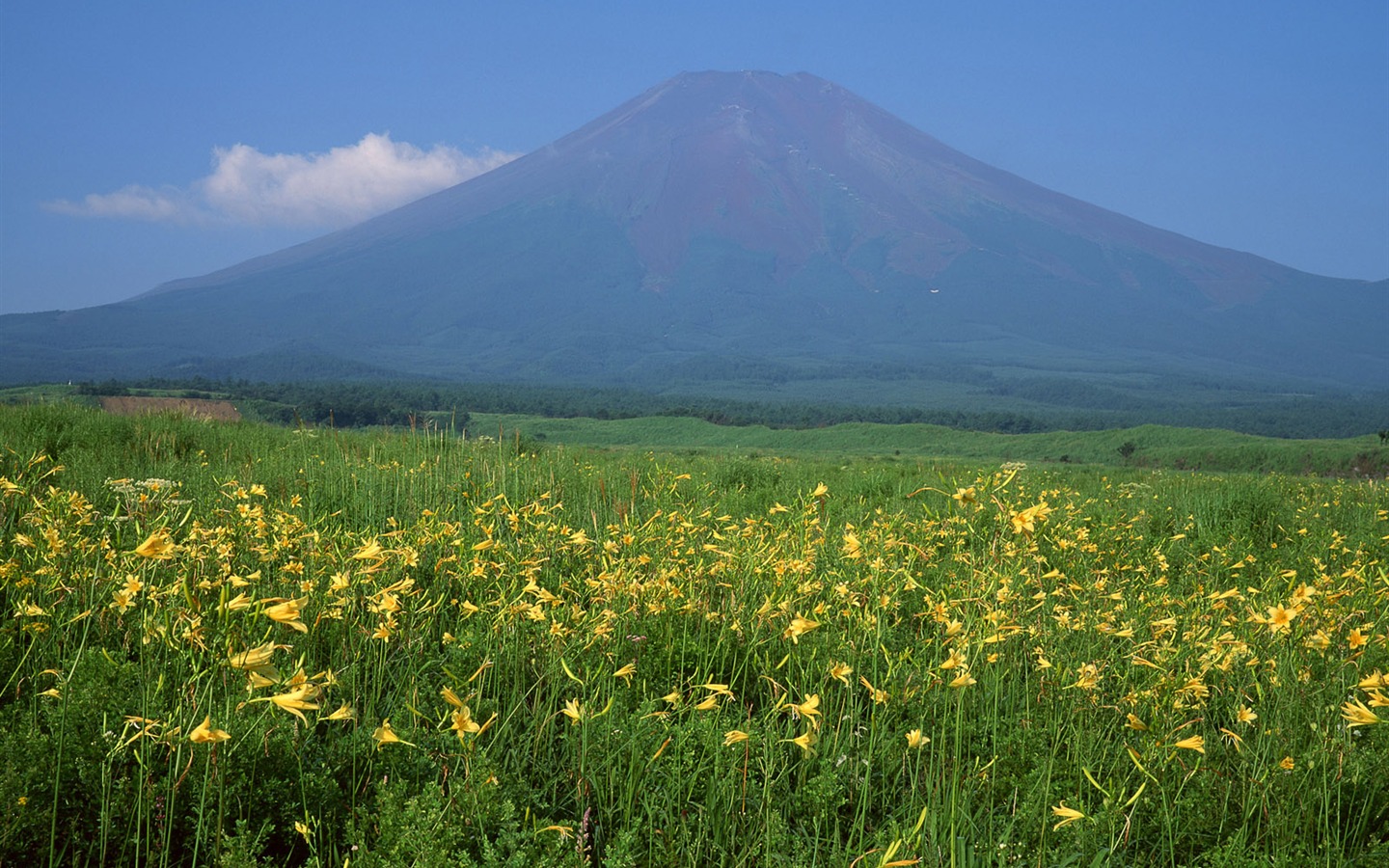 Mont Fuji, papier peint Japon (2) #5 - 1440x900