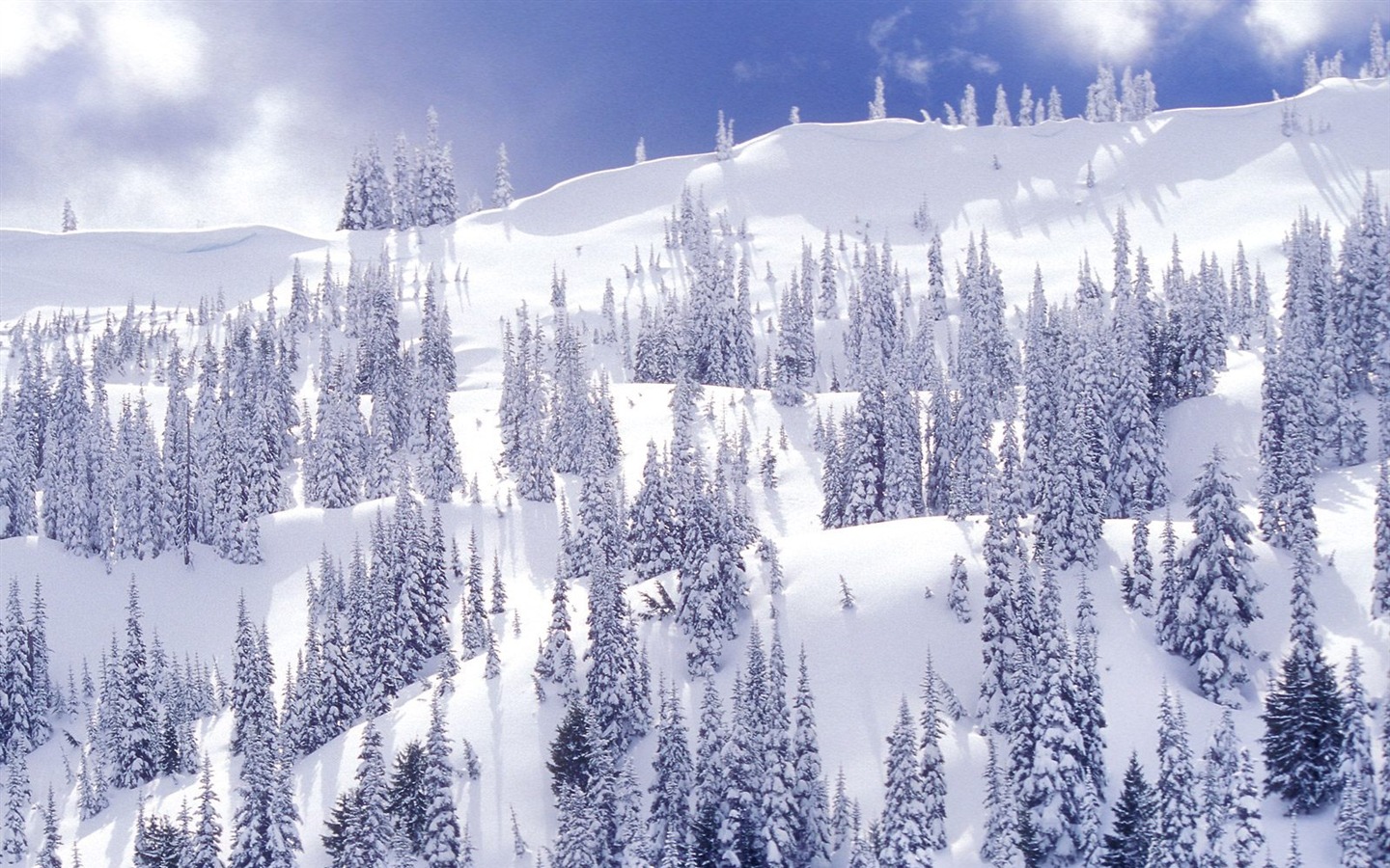 Invierno Nieve fondo de pantalla (2) #5 - 1440x900