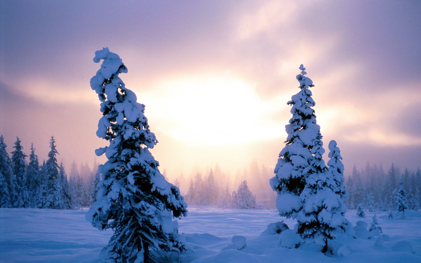 Invierno Nieve fondo de pantalla (2) #6 - 1440x900