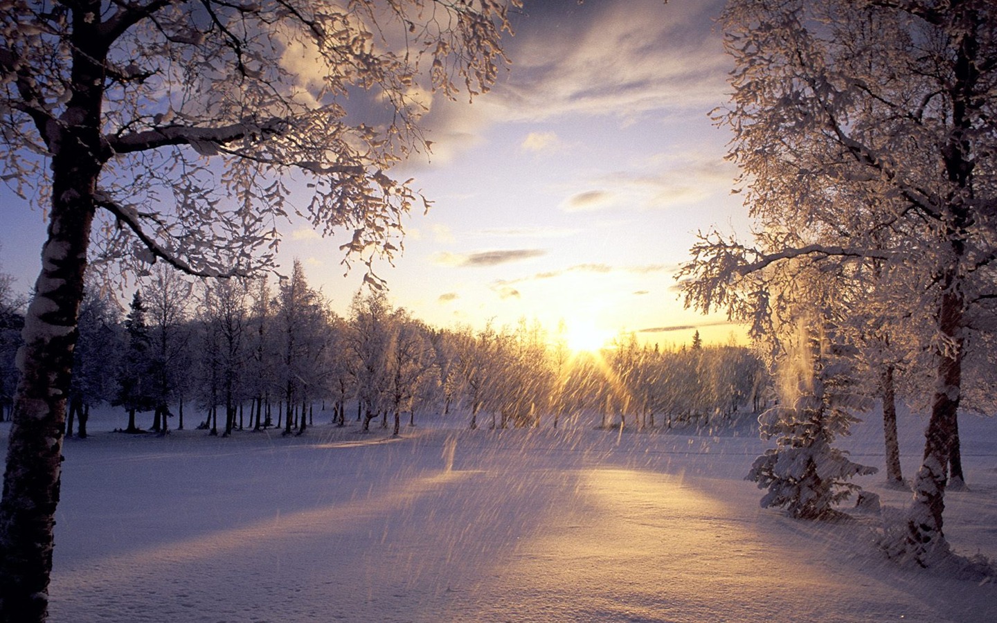 Invierno Nieve fondo de pantalla (2) #8 - 1440x900
