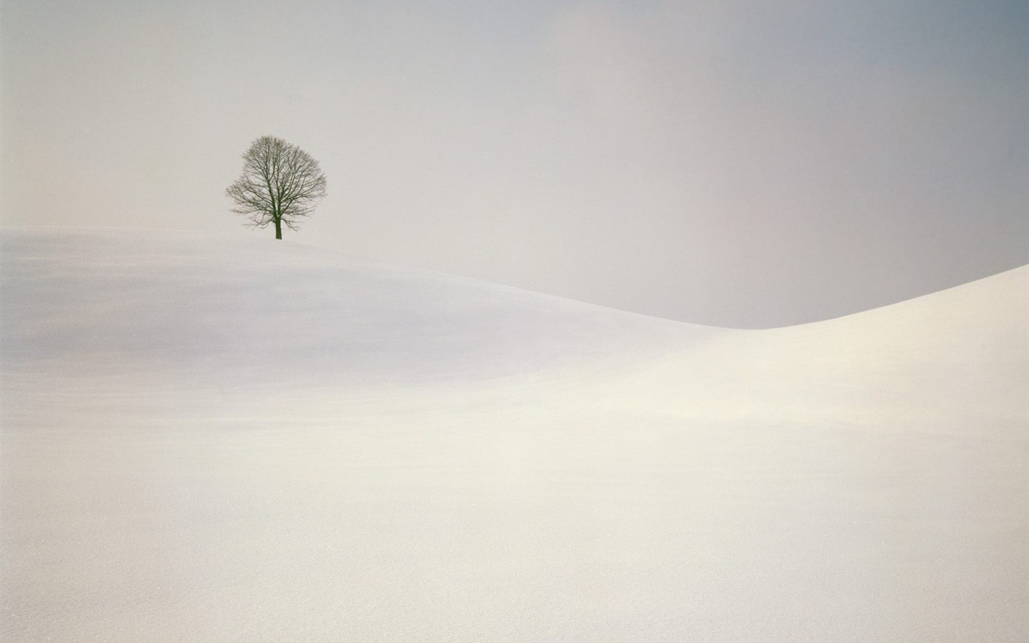Invierno Nieve fondo de pantalla (2) #17 - 1440x900