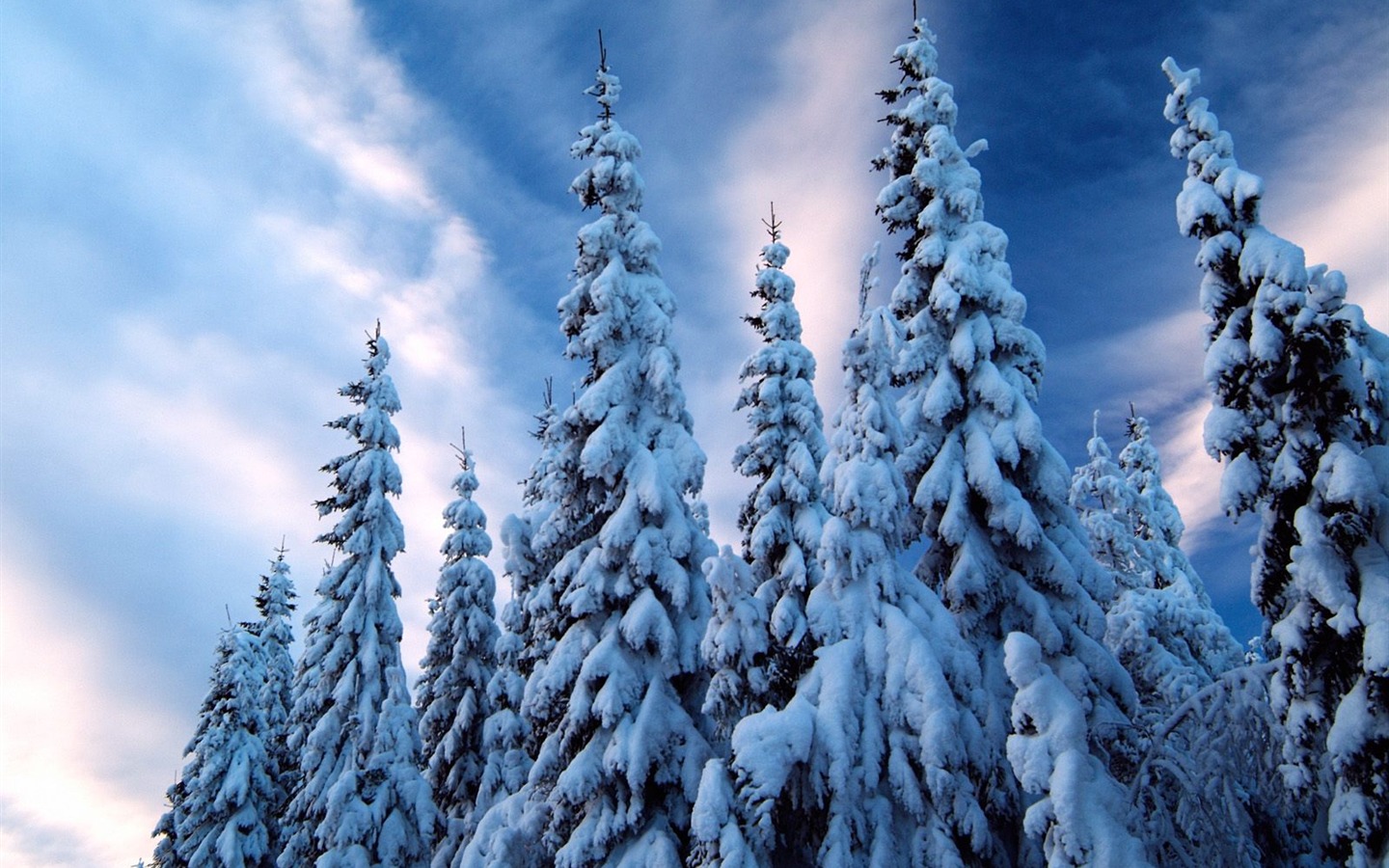 Invierno Nieve fondo de pantalla (2) #19 - 1440x900