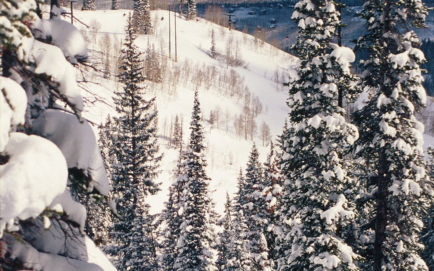 Invierno Nieve fondo de pantalla (3) #6 - 1440x900