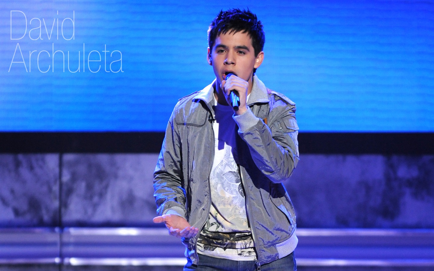 American Idol fondo de pantalla (3) #16 - 1440x900