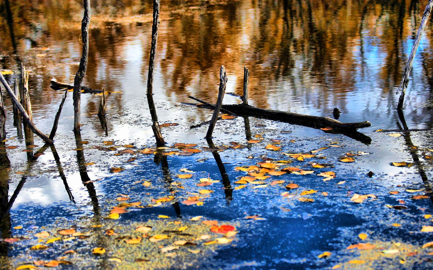 Wunderschön gerenderten Landschaften Wallpaper (3) #1 - 1440x900