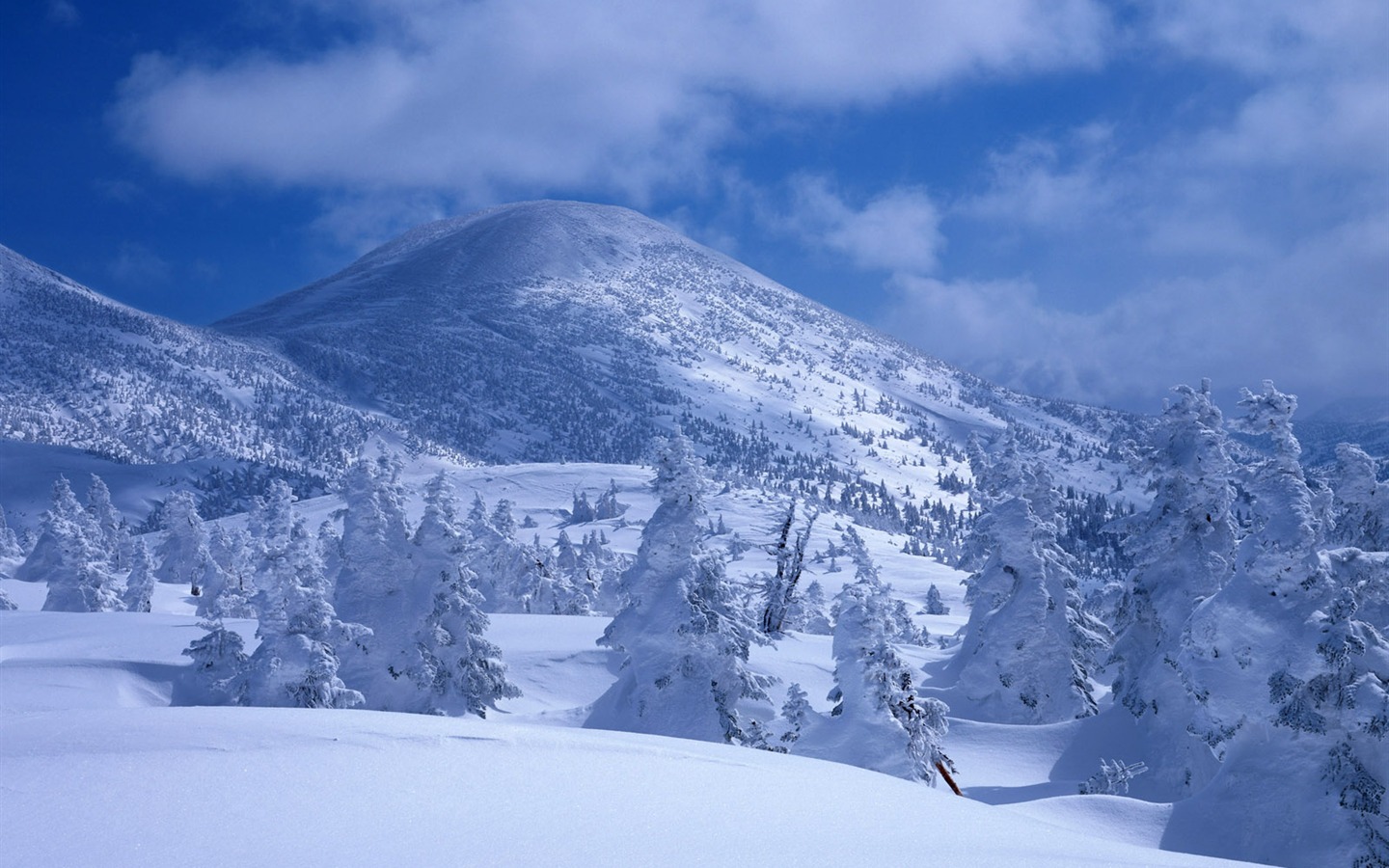 Sníh na horských tapety (2) #18 - 1440x900