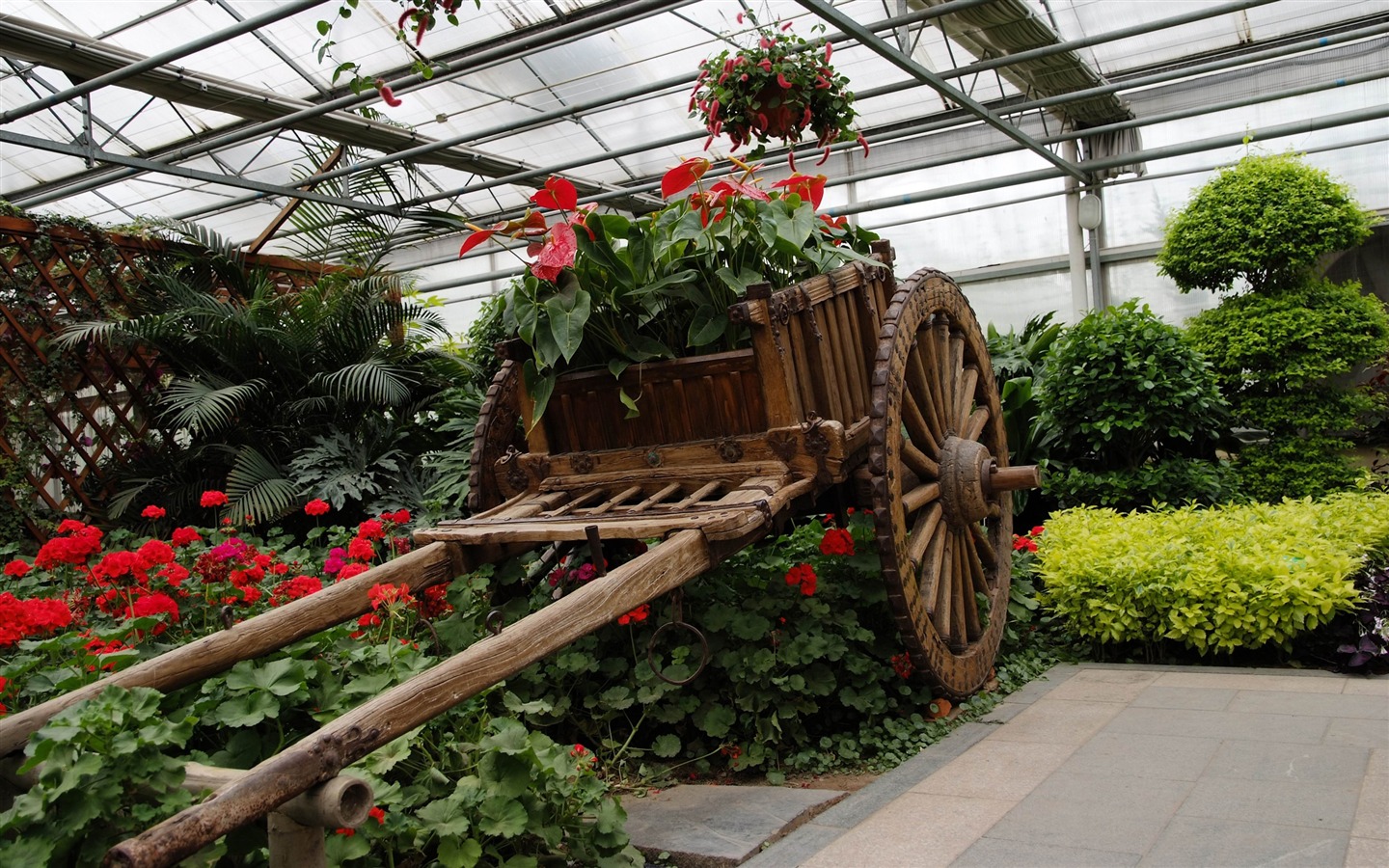 Beijing Grand View Garden Flowers with film (rebar works) #10 - 1440x900