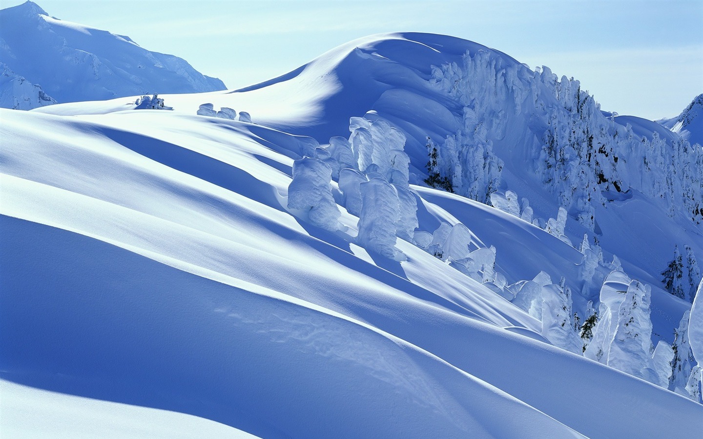 Sníh tapety sbírka (2) #11 - 1440x900