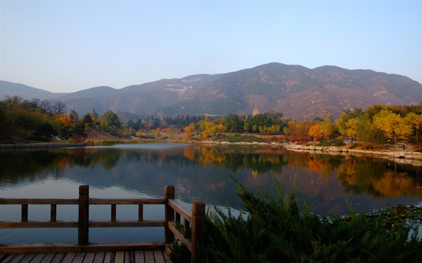 秋日的香山植物园 (螺纹钢作品)15 - 1440x900