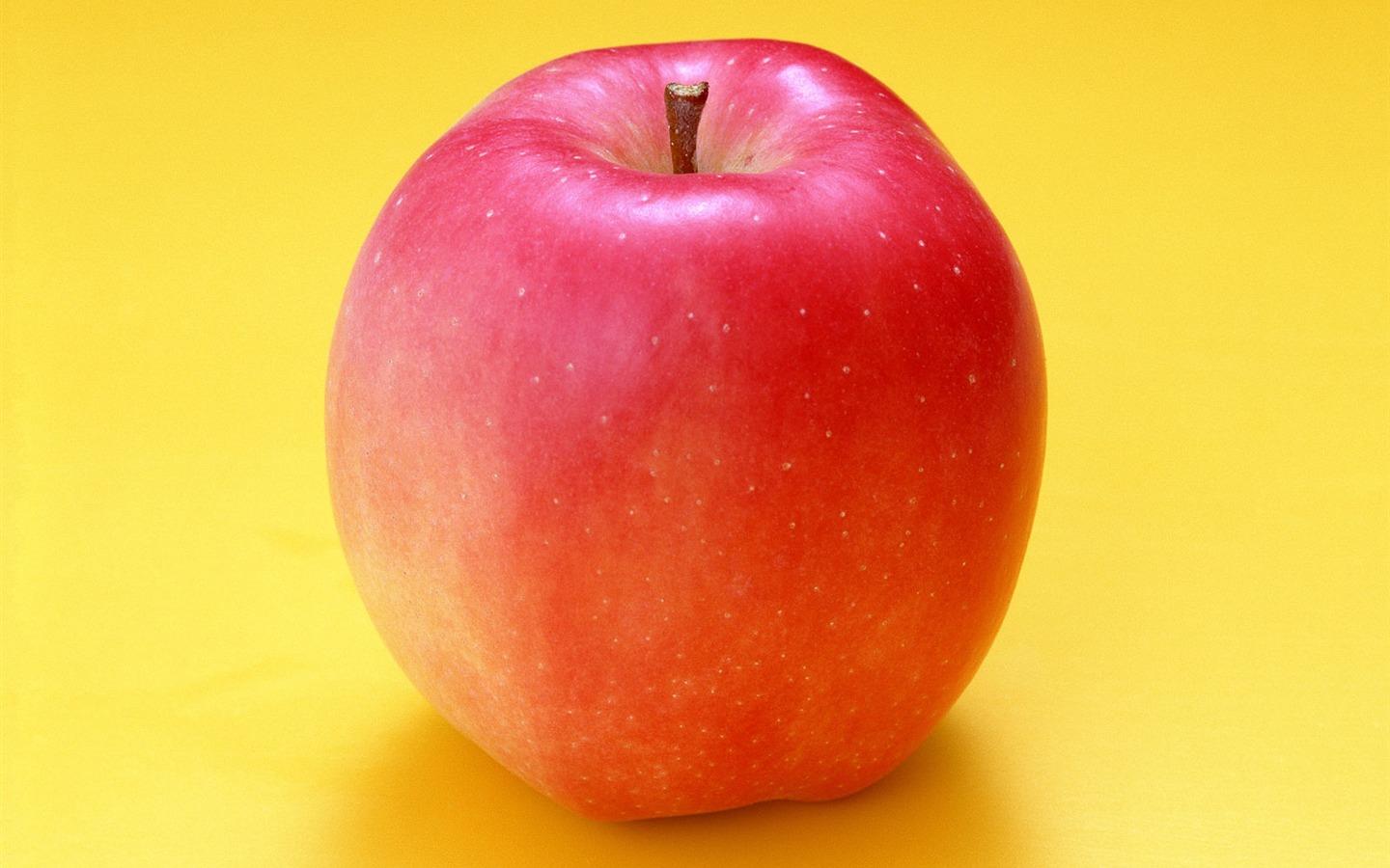 Fond d'écran photo de fruits (7) #1 - 1440x900