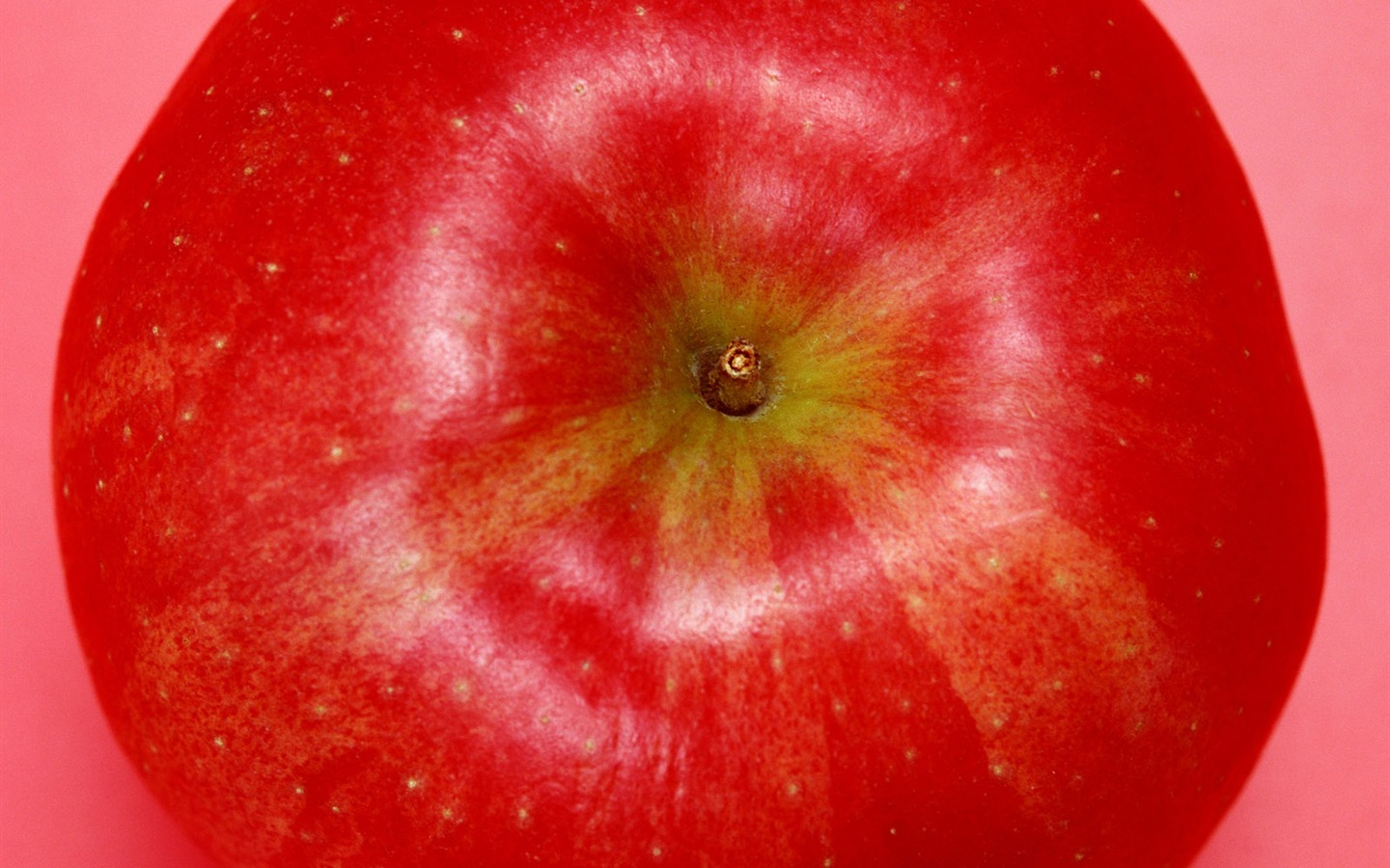 Fond d'écran photo de fruits (7) #4 - 1440x900