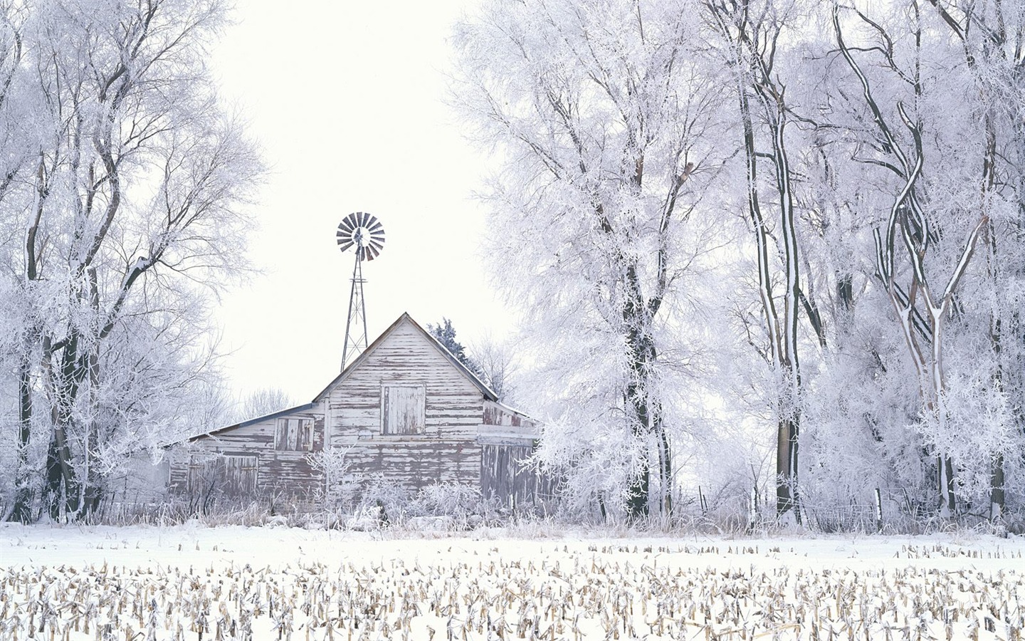 Snow Wallpaper Sammlung (3) #10 - 1440x900