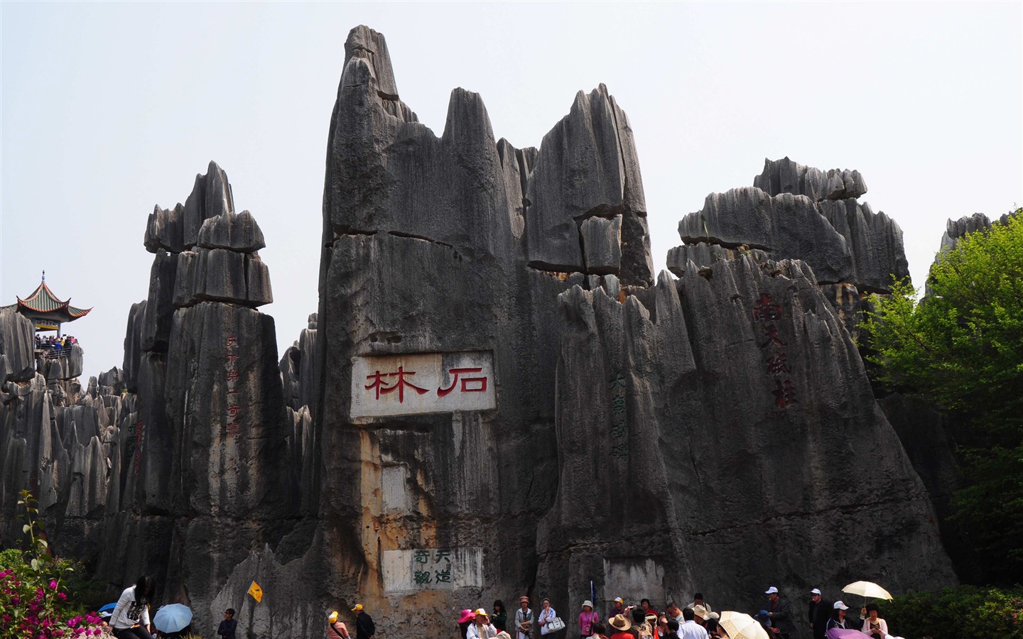 Каменный лес в провинции Юньнань линии (1) (работ киданей волка) #5 - 1440x900
