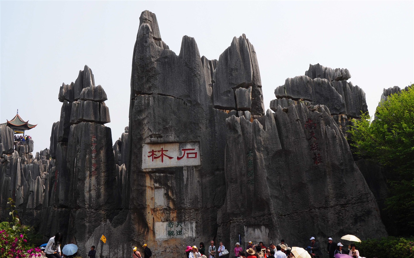 Stone Forest in Yunnan line (1) (Khitan wolf works) #5 - 1440x900