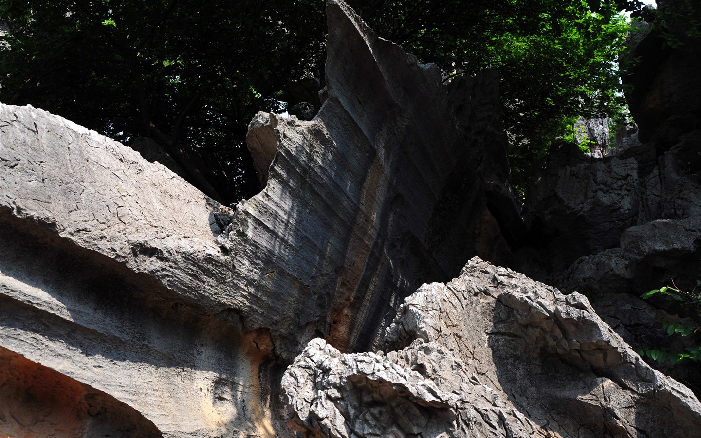 Bosque de Piedras de Yunnan en línea (1) (obras Khitan lobo) #8 - 1440x900