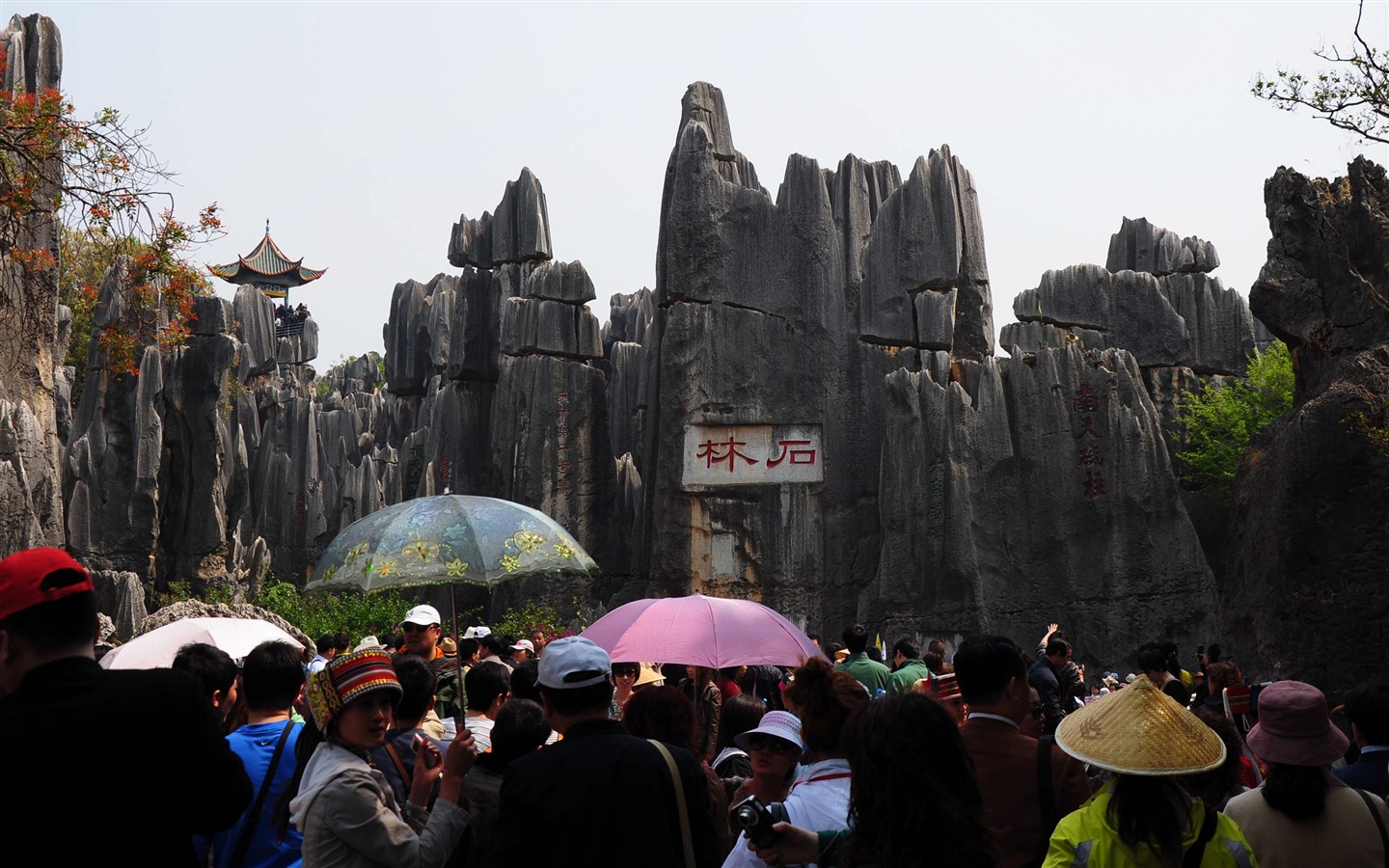 Stone Forest in Yunnan line (1) (Khitan wolf works) #9 - 1440x900