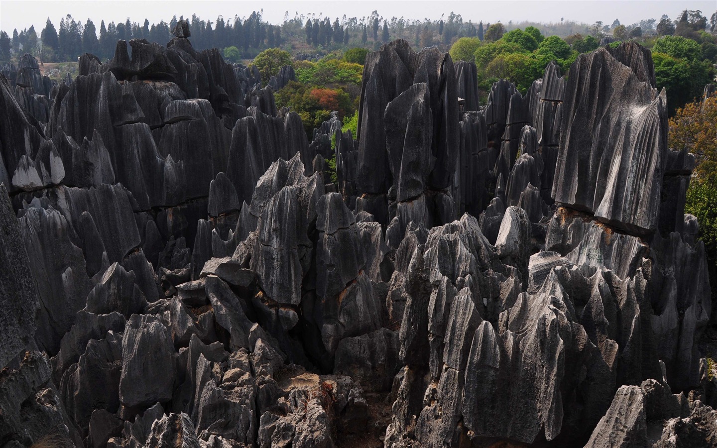 Bosque de Piedras de Yunnan en línea (1) (obras Khitan lobo) #16 - 1440x900