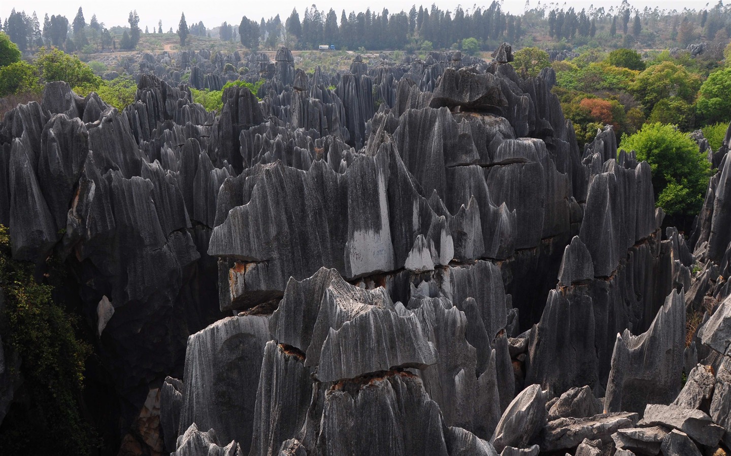 Bosque de Piedras de Yunnan en línea (1) (obras Khitan lobo) #17 - 1440x900