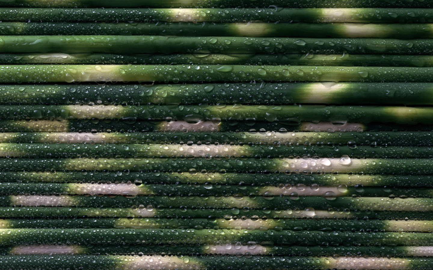 1680 fleurs vertes feuilles fond d'écran (3) #7 - 1440x900