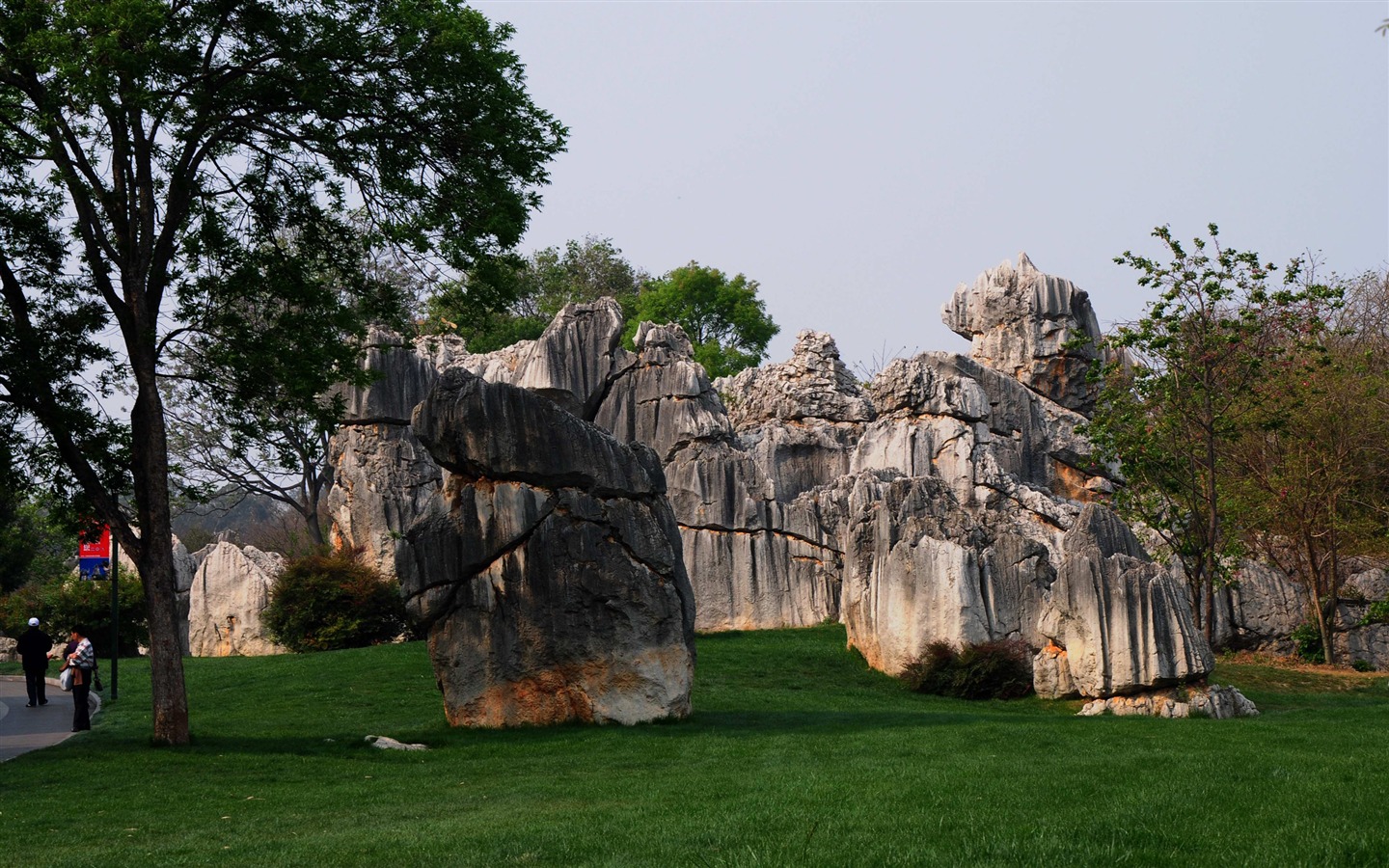 Каменный лес в провинции Юньнань линии (2) (работ киданей волка) #25 - 1440x900