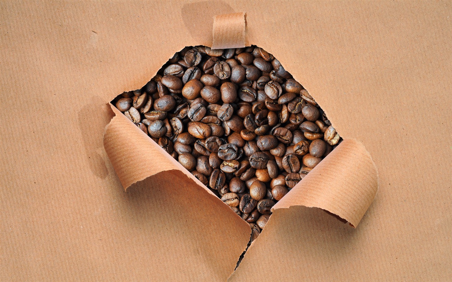 커피 기능 벽지 (7) #2 - 1440x900