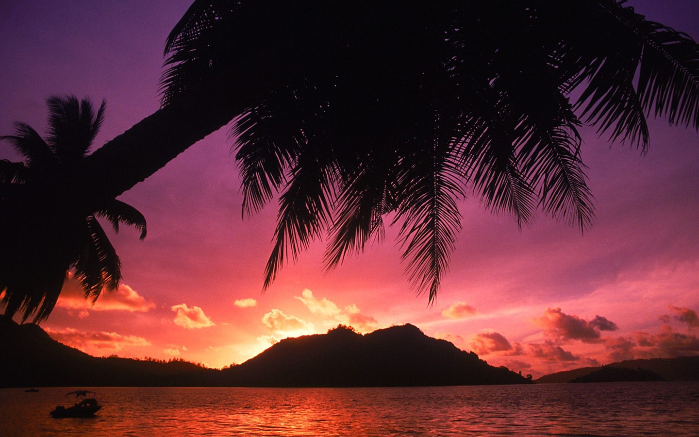 Fond d'écran Palm arbre coucher de soleil (1) #14 - 1440x900