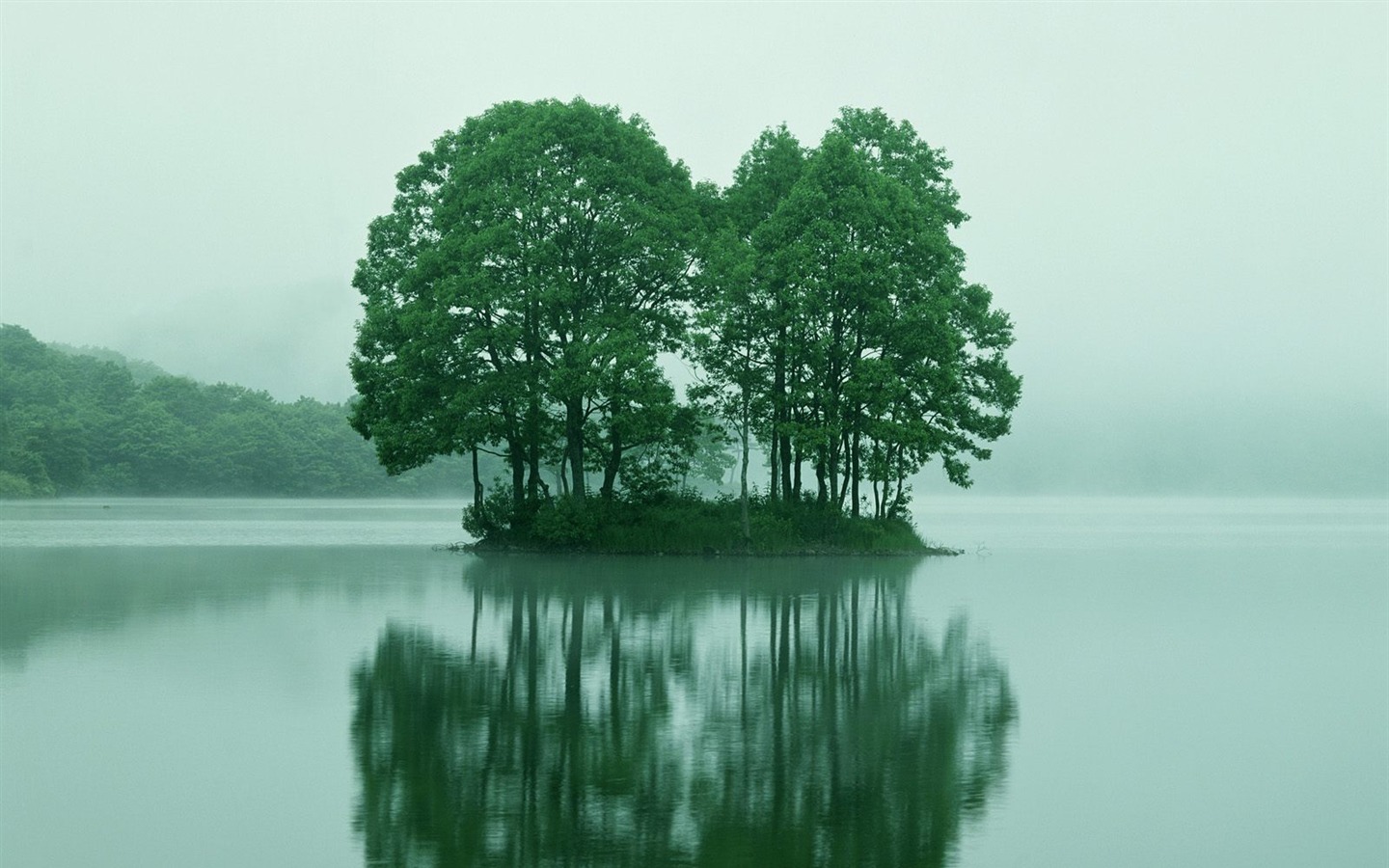 Planter des arbres fonds d'écran (4) #18 - 1440x900