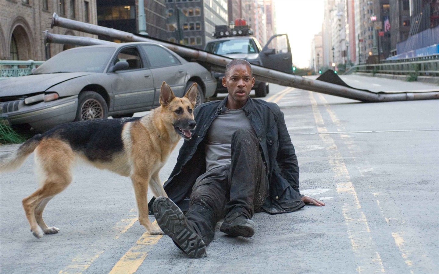 I Am Legend 我是传奇 高清壁纸2 - 1440x900