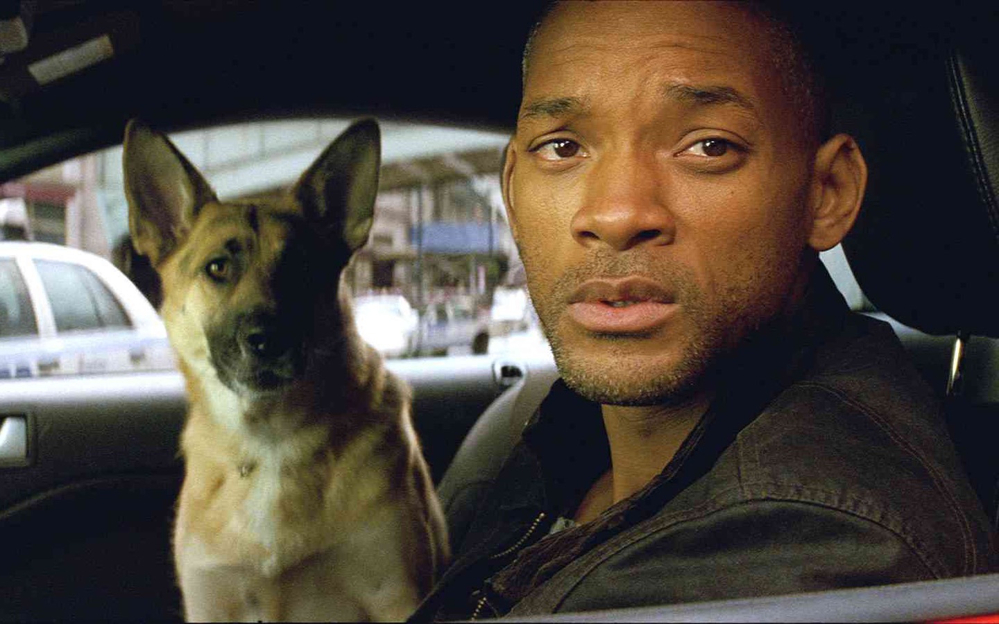 I Am Legend 我是传奇 高清壁纸8 - 1440x900